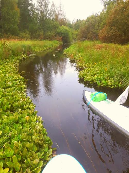 Sup retki Tampere